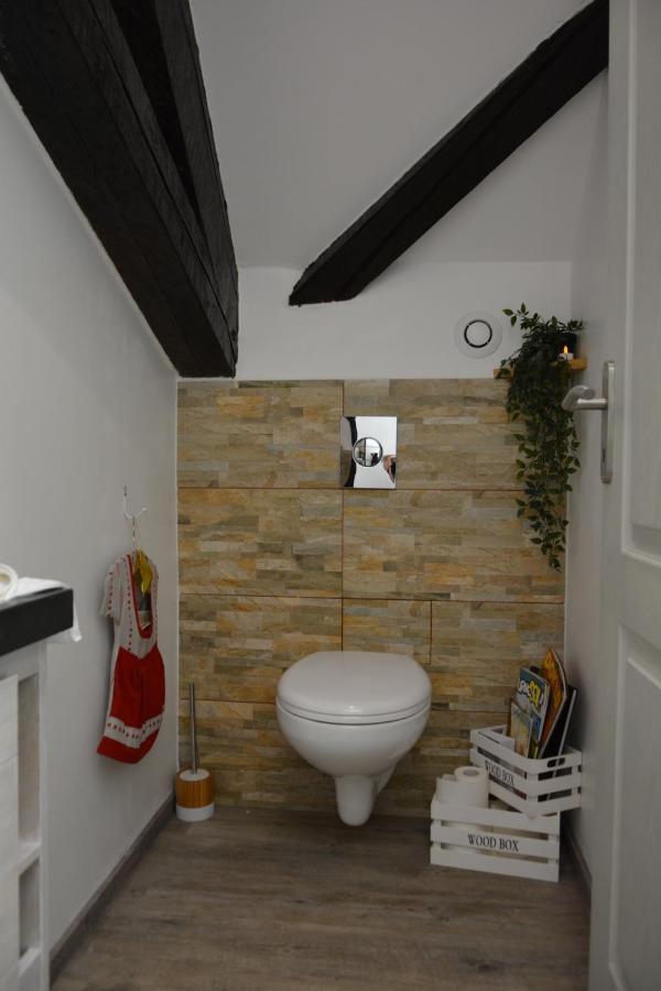 Ferme Les Iris Apartment Issenheim Екстериор снимка