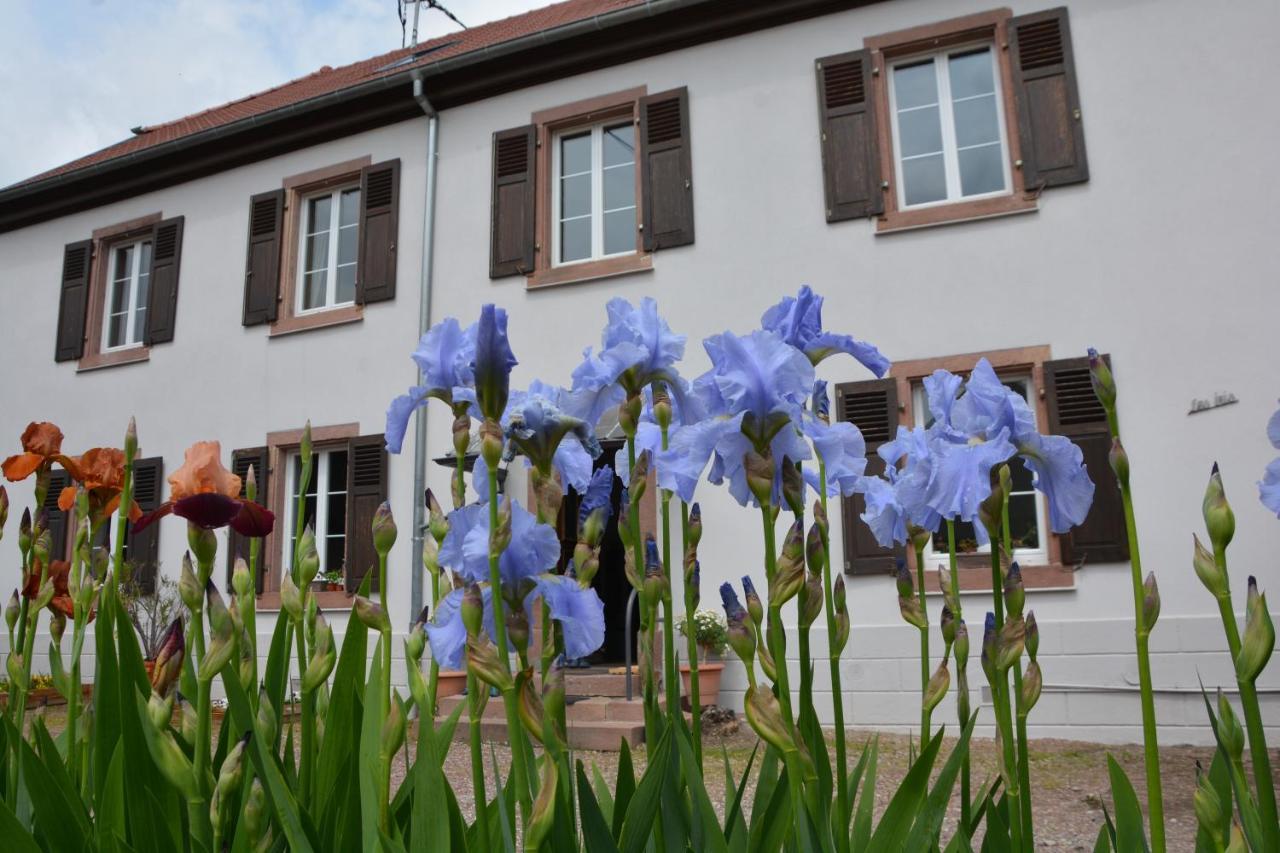 Ferme Les Iris Apartment Issenheim Екстериор снимка