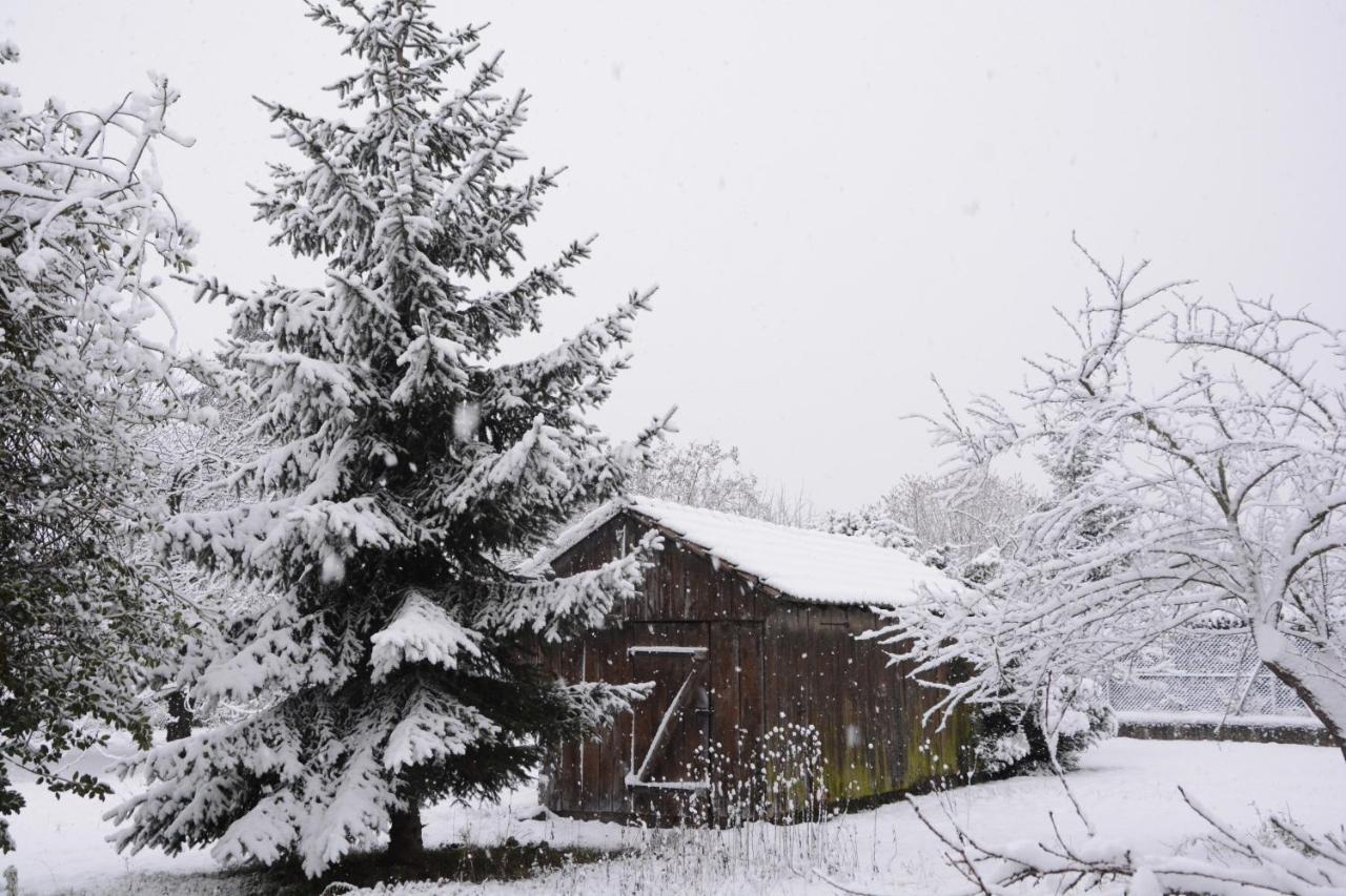 Ferme Les Iris Apartment Issenheim Екстериор снимка